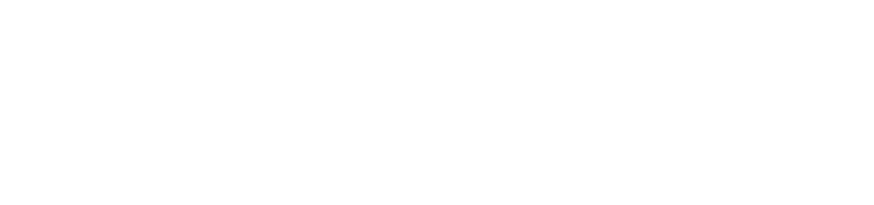 logo fp sellection